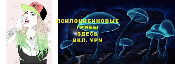 молекула духа Волоколамск